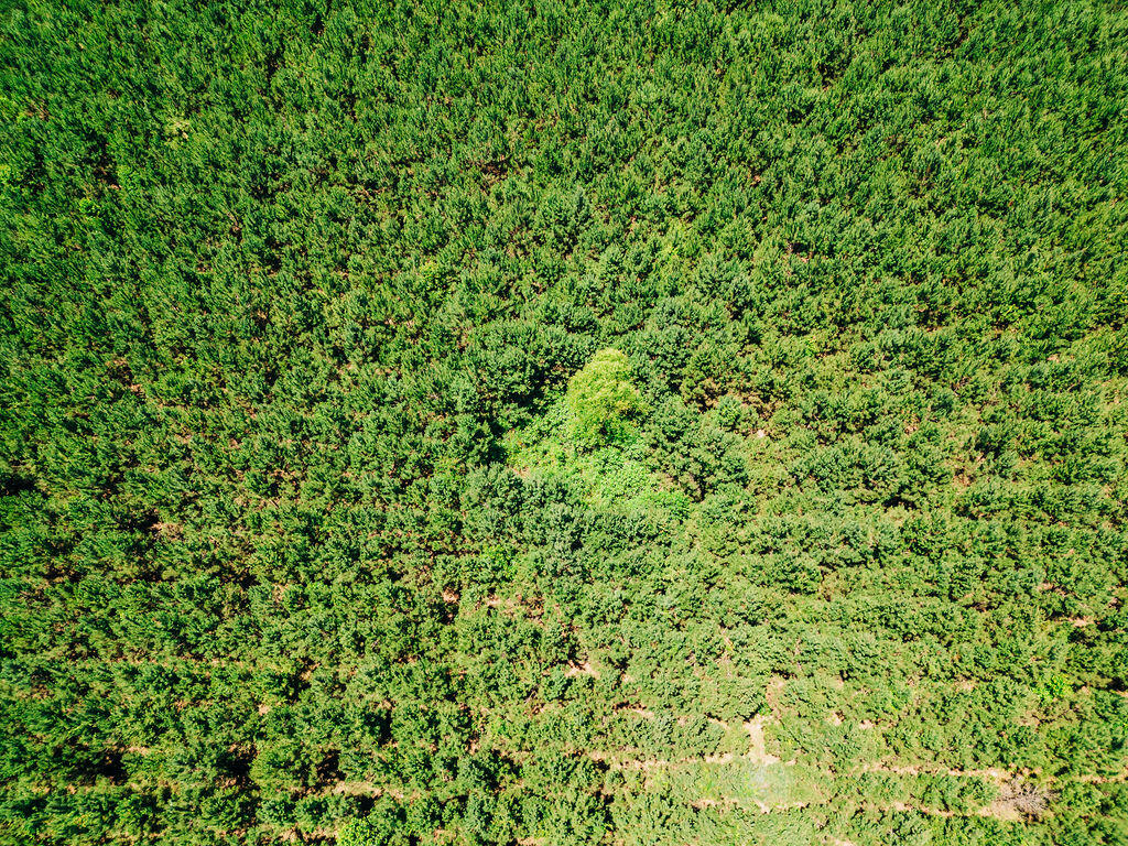 0 Varnadoe Road Islandton, SC 29929 - Photo 5 of 6 DJI_0184 (2)