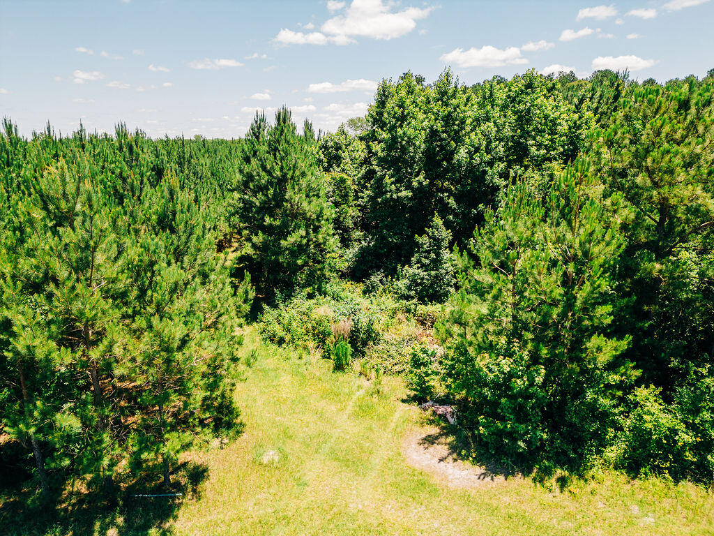 0 Varnadoe Road Islandton, SC 29929 - Photo 6 of 6 DJI_0188 (1)