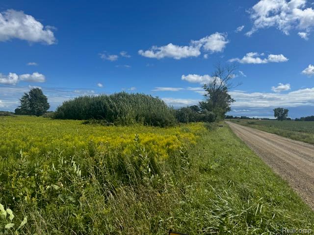 1 Duquette Road Peck, MI 48466 - Photo 6 of 40