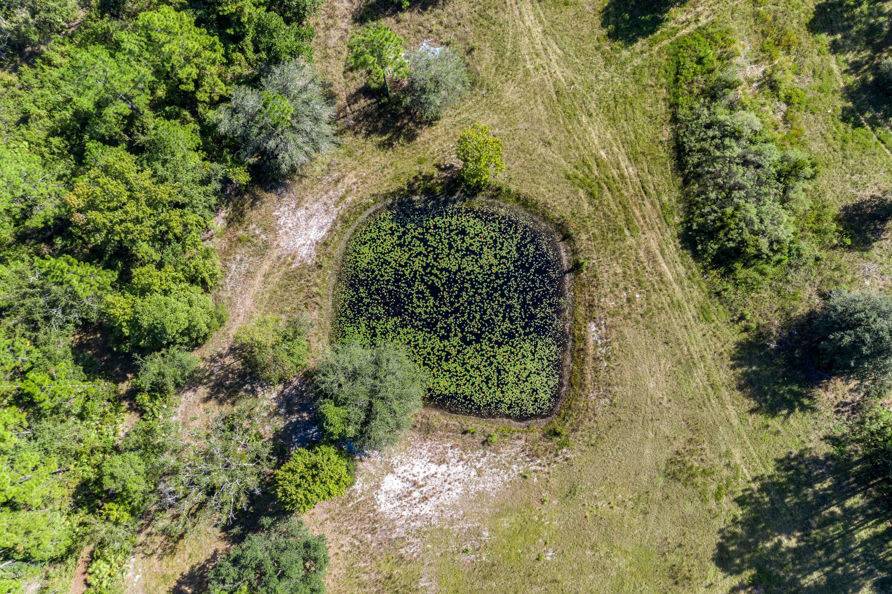 4503 Bondarenko Road Keystone Heights, FL 32656 - Photo 54 of 57 Pond