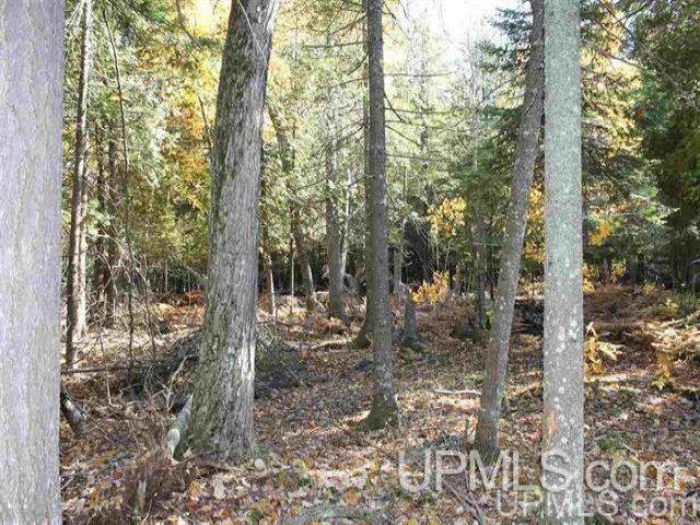 7 Point Abbaye Road Lanse, MI 49946 - Photo 7 of 9