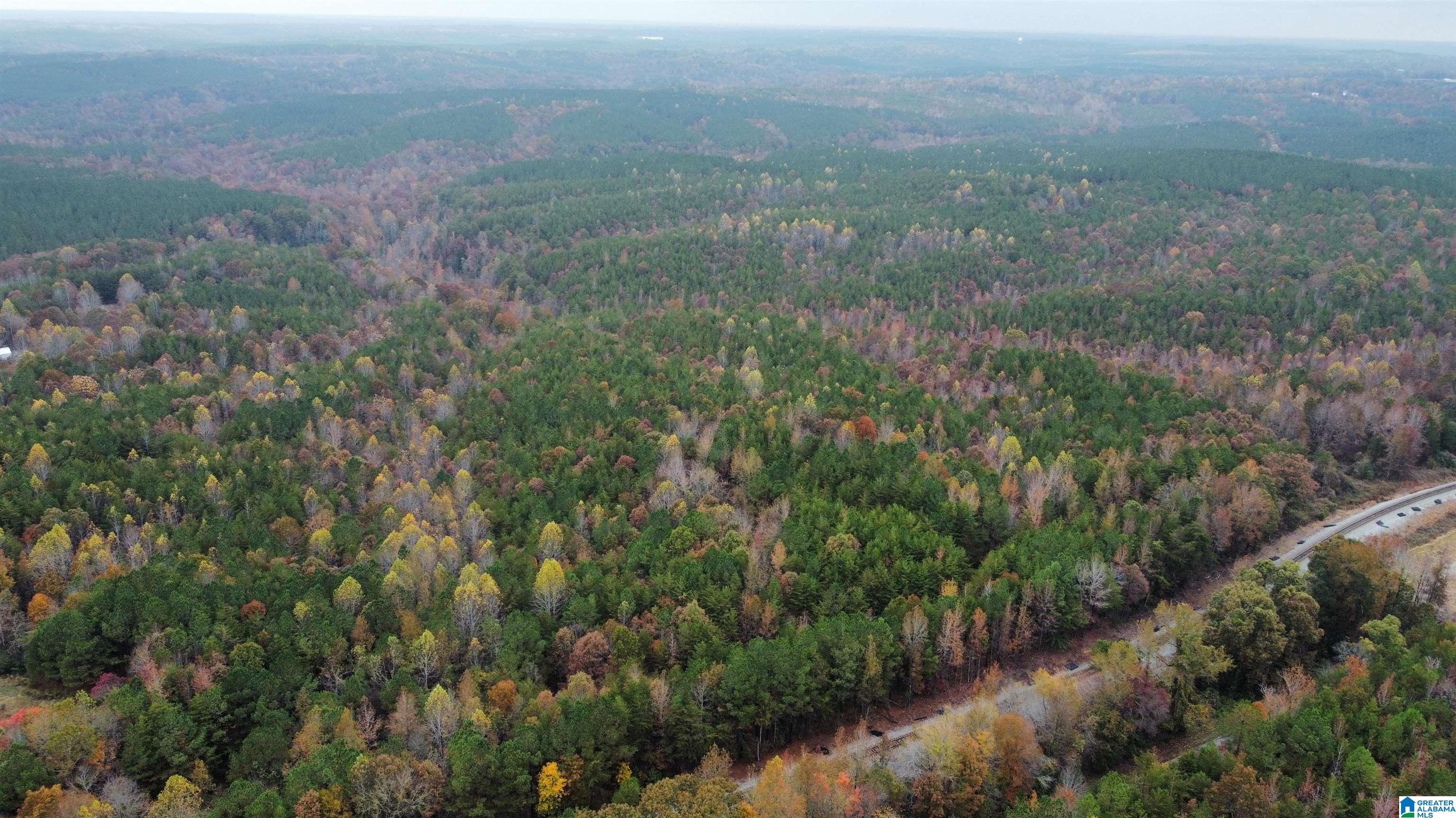 83-acres Byler Road, Unit 83 ACRES Haleyville, AL 35565 - Photo 10 of 19