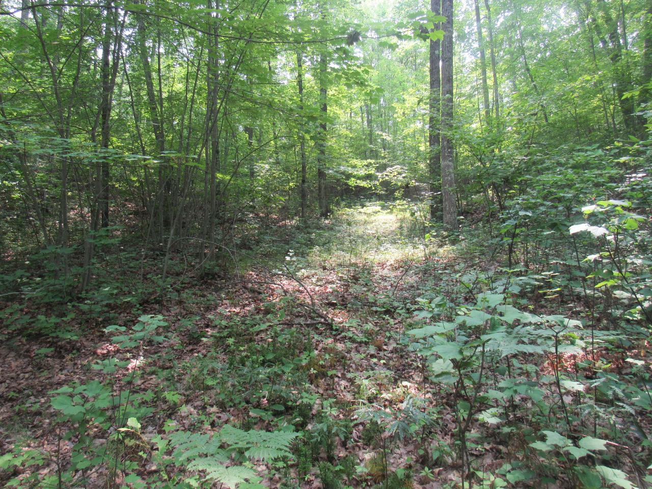 Tbd Kafka Road Wausaukee, WI 54177 - Photo 10 of 37 Gallery Image 10