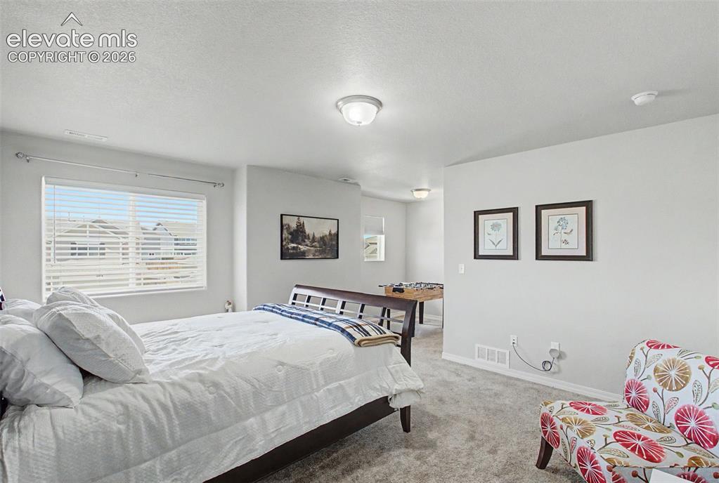 10957 Avena Road Peyton, CO 80831 - Photo 21 of 34 Primary bedroom with view of sitting area