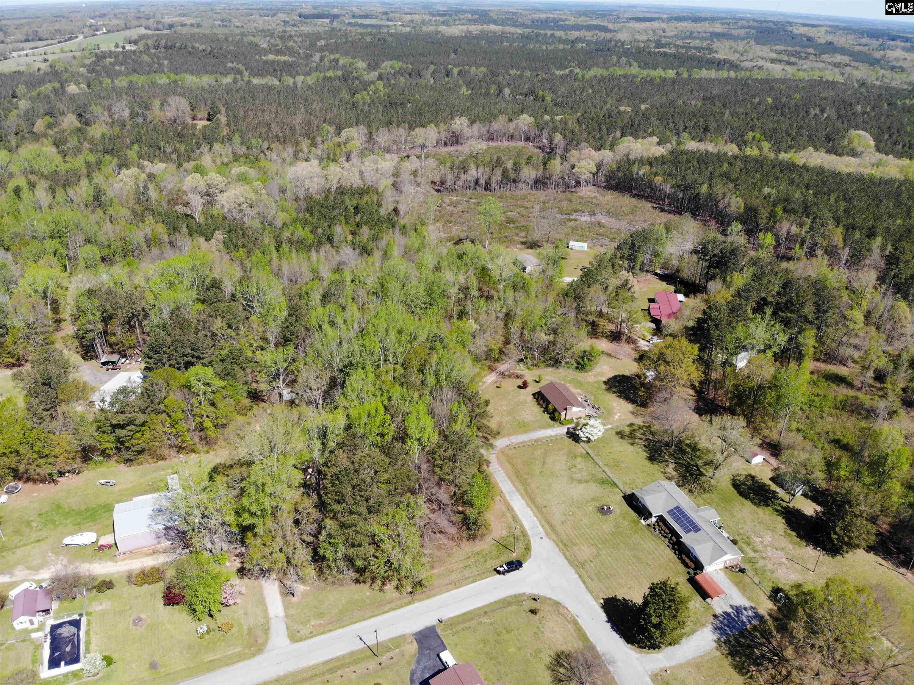 Tbd James Road Joanna, SC 29351 - Photo 17 of 82