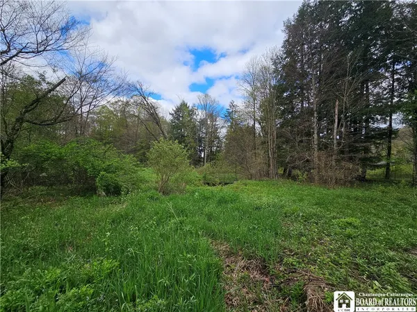 $77,000 | 1581 Chipmonk Road, Carrollton, NY 14706