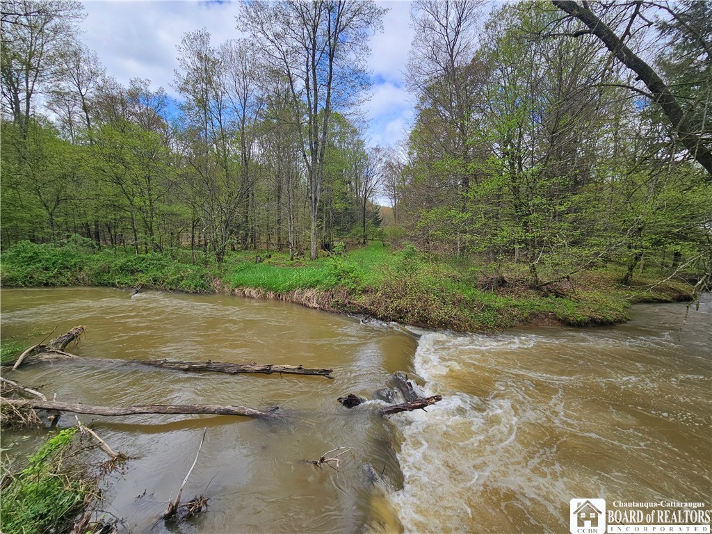 1581 Chipmonk Road Carrollton, NY 14706 - Photo 15 of 29