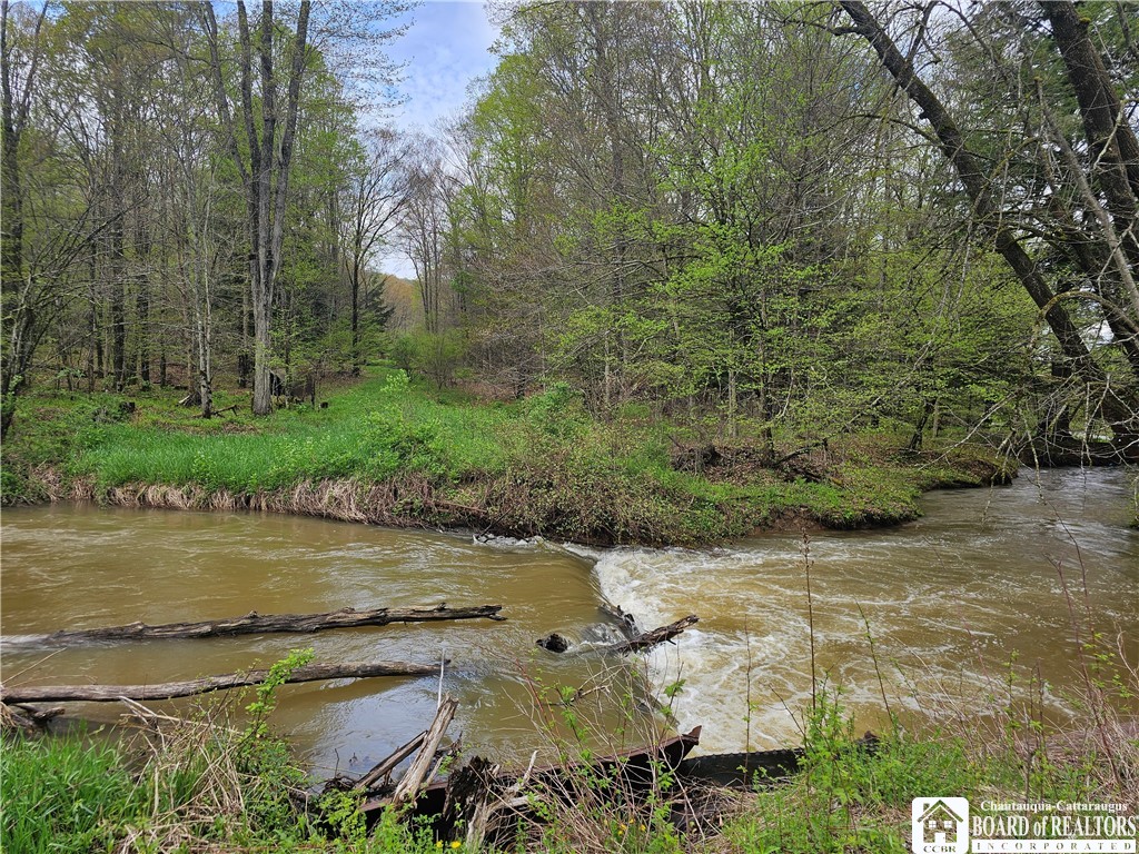 1581 Chipmonk Road Carrollton, NY 14706 - Photo 17 of 29