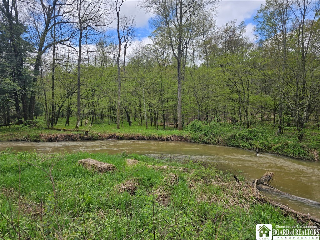 1581 Chipmonk Road Carrollton, NY 14706 - Photo 18 of 29