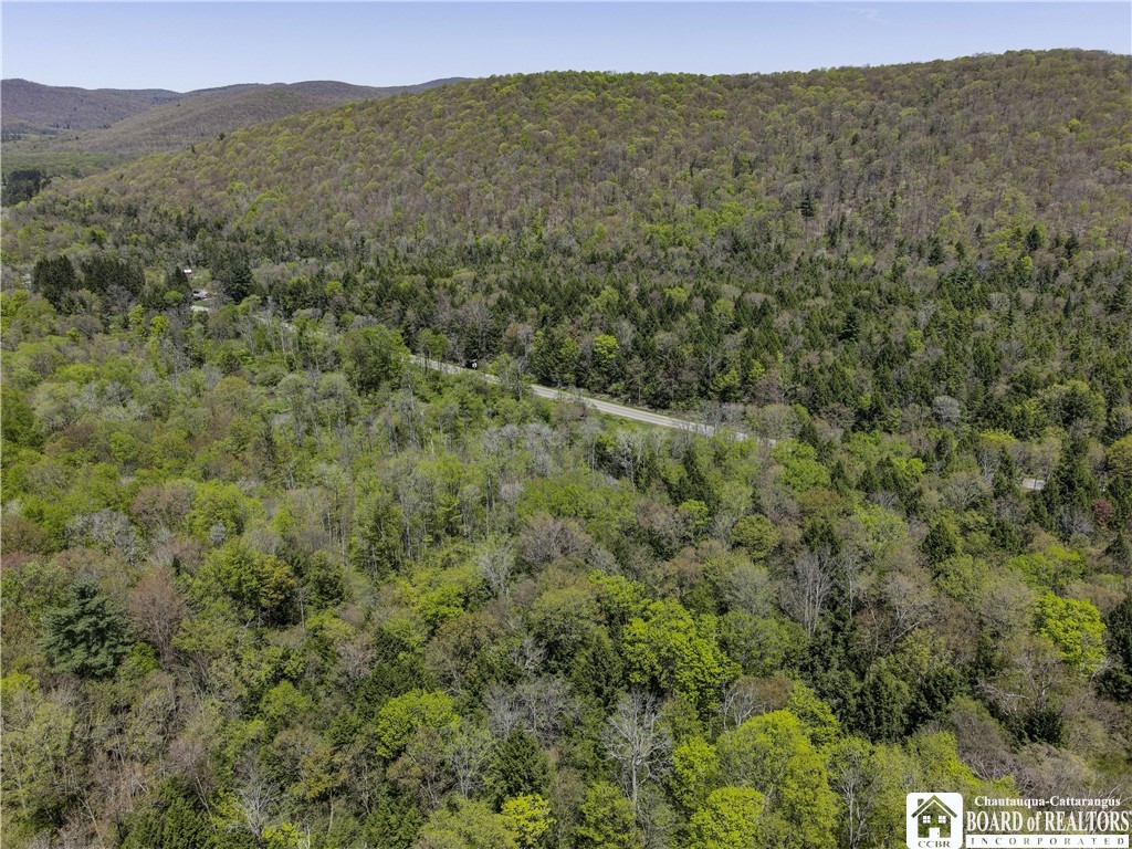 1581 Chipmonk Road Carrollton, NY 14706 - Photo 2 of 29