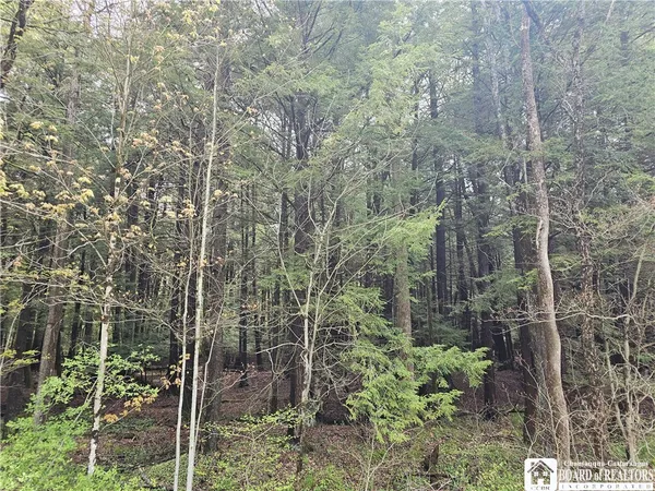 $77,000 | 1581 Chipmonk Road, Carrollton, NY 14706