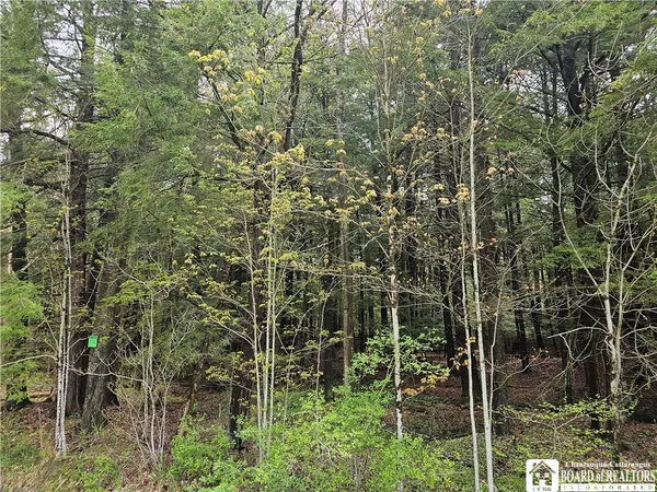 $77,000 | 1581 Chipmonk Road, Carrollton, NY 14706