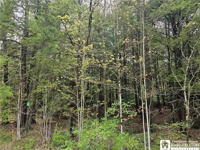 $95,000 | 1581 Chipmonk Road, Carrollton, NY 14706