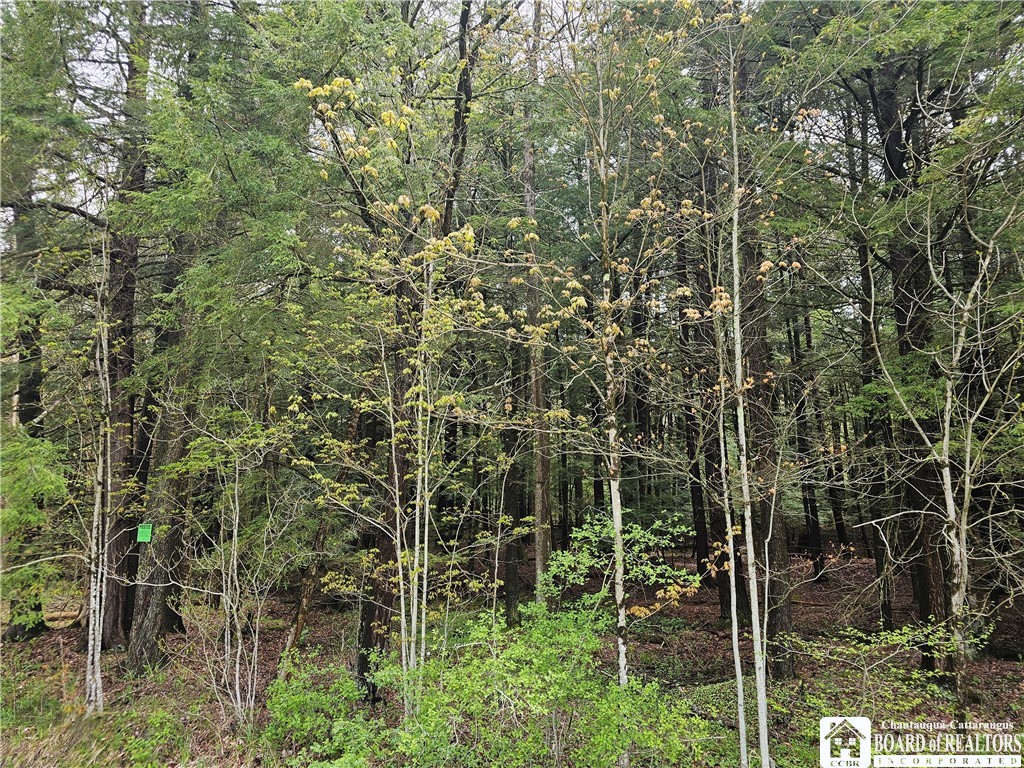 1581 Chipmonk Road Carrollton, NY 14706 - Photo 22 of 29