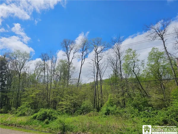 $77,000 | 1581 Chipmonk Road, Carrollton, NY 14706