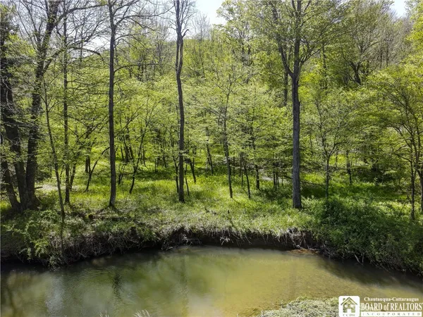 $77,000 | 1581 Chipmonk Road, Carrollton, NY 14706