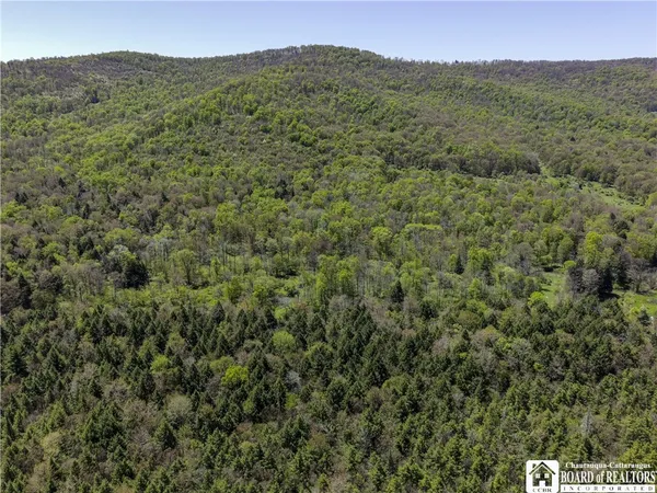 $77,000 | 1581 Chipmonk Road, Carrollton, NY 14706