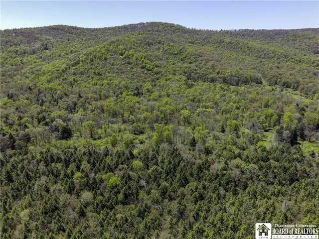 $95,000 | 1581 Chipmonk Road, Carrollton, NY 14706