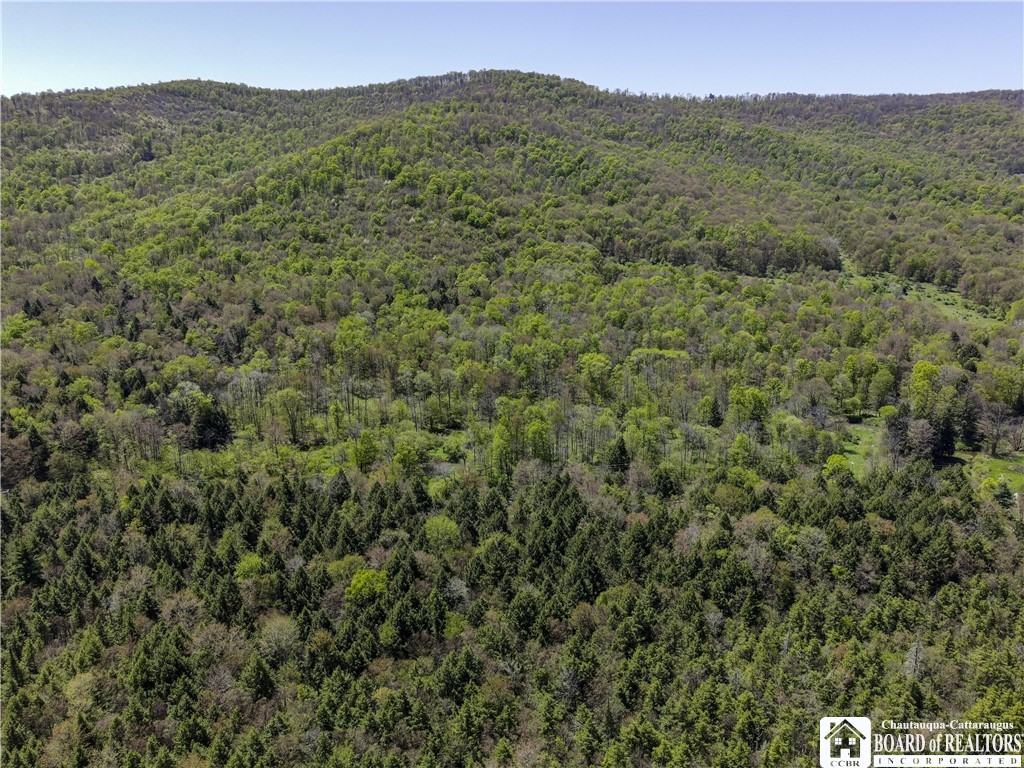 1581 Chipmonk Road Carrollton, NY 14706 - Photo 29 of 29