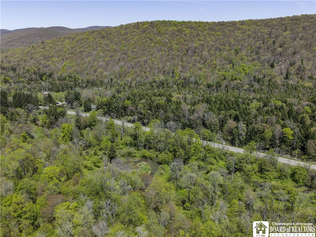 1581 Chipmonk Road Carrollton, NY 14706 - Photo 3 of 29