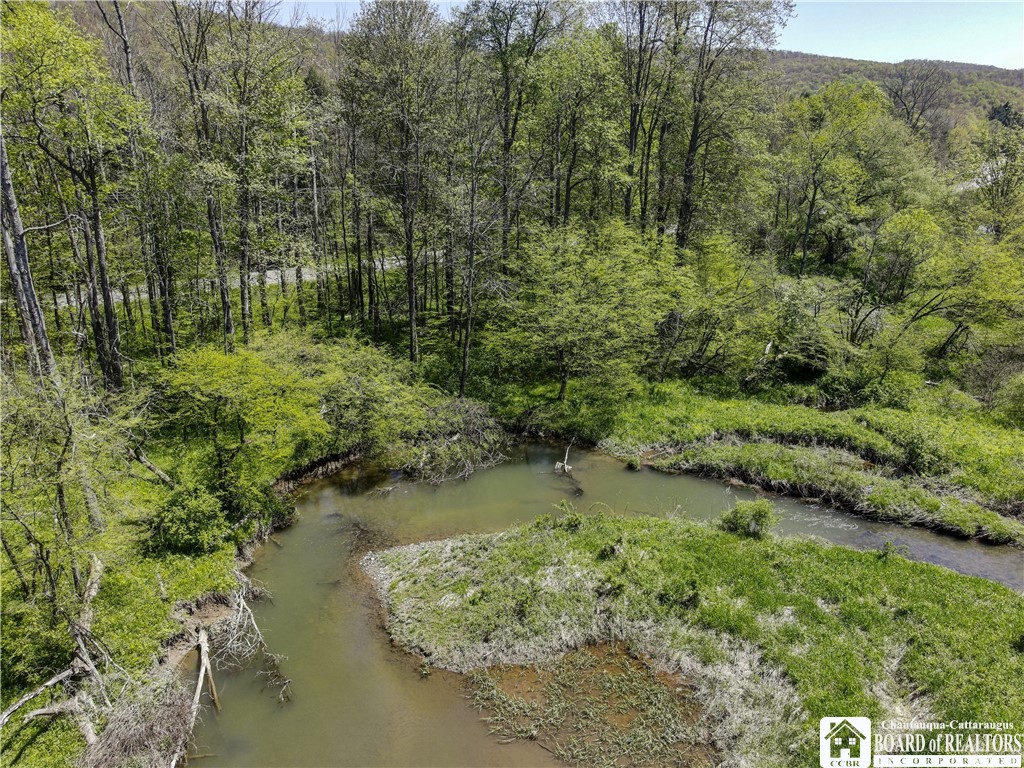 1581 Chipmonk Road Carrollton, NY 14706 - Photo 6 of 29