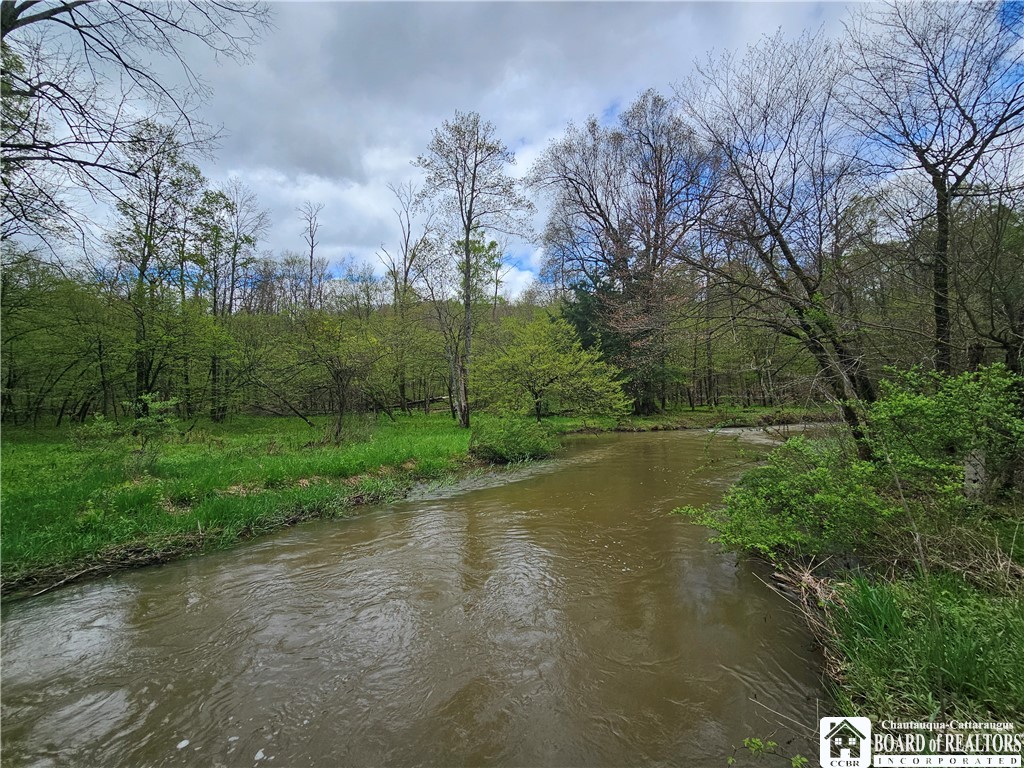 1581 Chipmonk Road Carrollton, NY 14706 - Photo 7 of 29