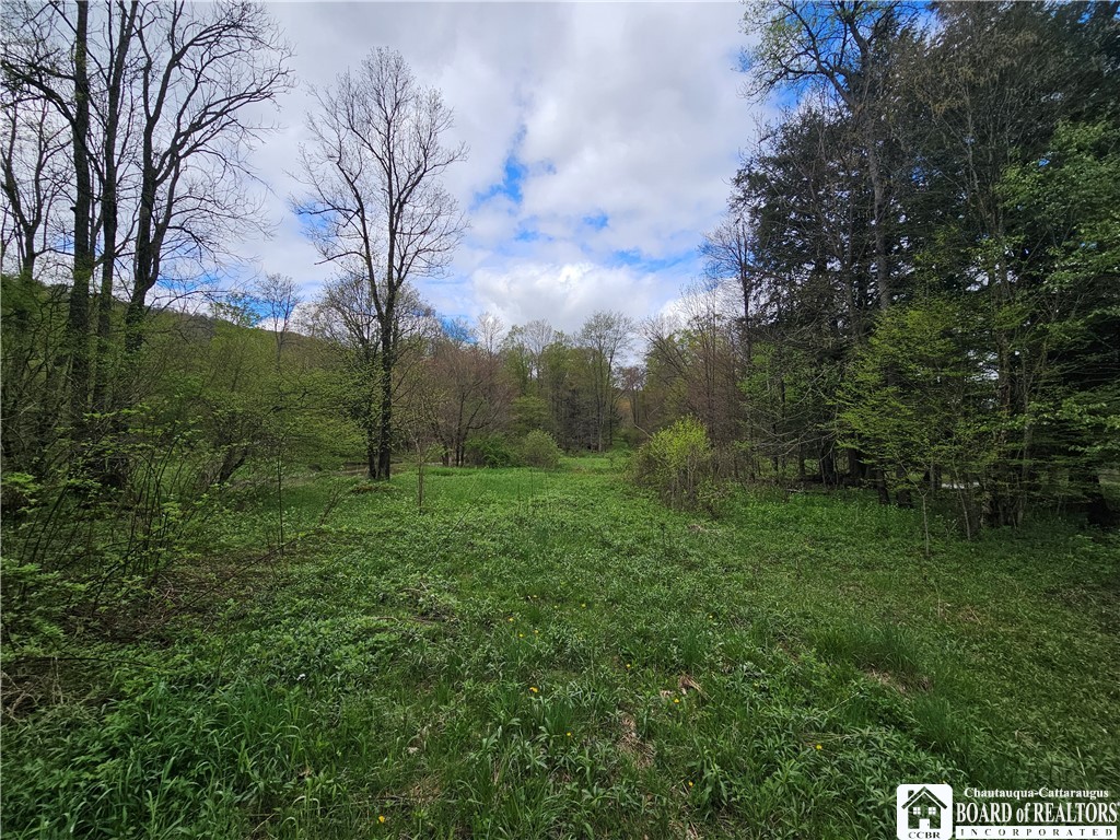 1581 Chipmonk Road Carrollton, NY 14706 - Photo 8 of 29