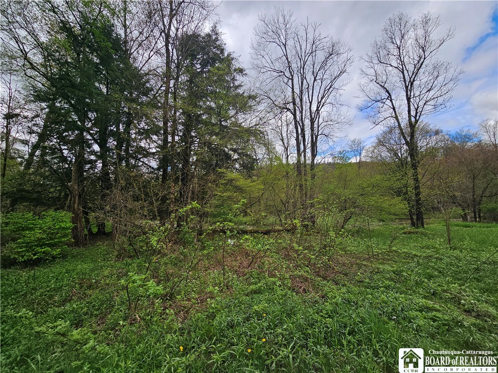 1581 Chipmonk Road Carrollton, NY 14706 - Photo 9 of 29