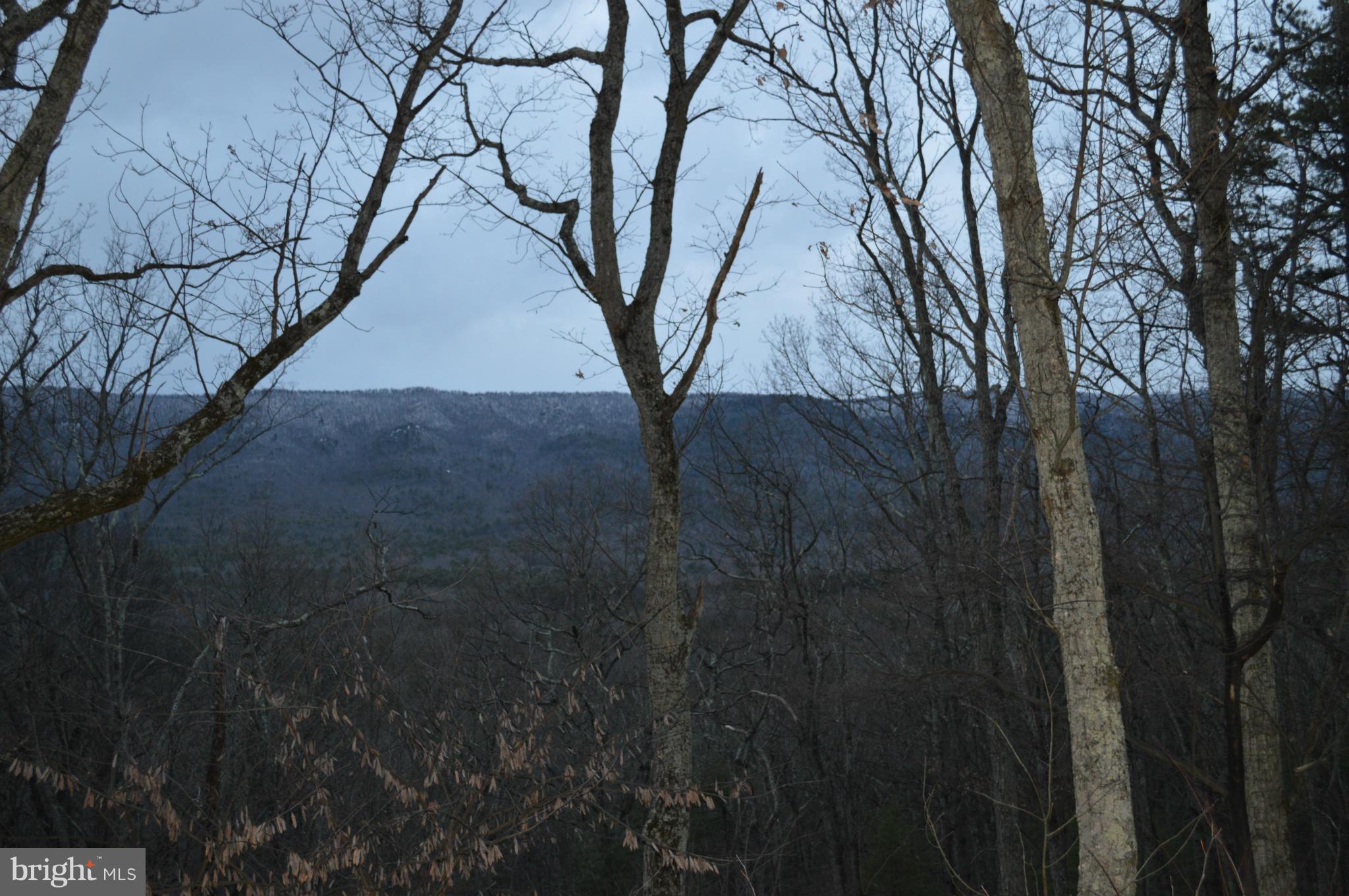 287 Sunset Ridge Lane Broadway, VA 22815 - Photo 13 of 16 View