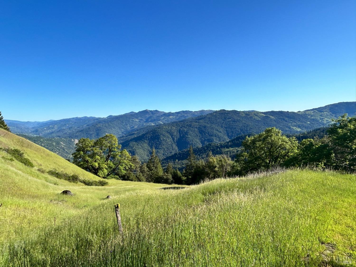 74250 Island Mountain Road Garberville, CA 95542 - Photo 6 of 77