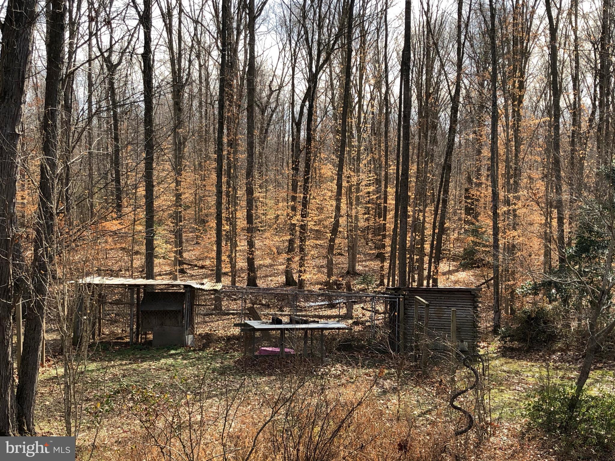 17025 Ancient Acres Road Beaverdam, VA 23015 - Photo 28 of 34 View from Rear Deck