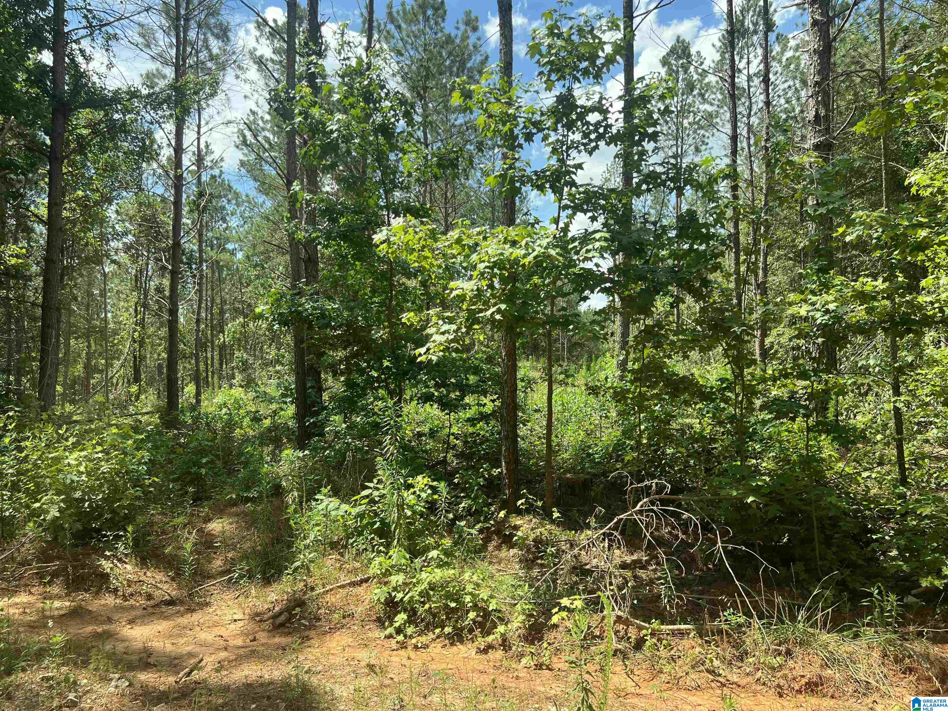 0 County Road 689, Unit 1 Ranburne, AL 36273 - Photo 12 of 69