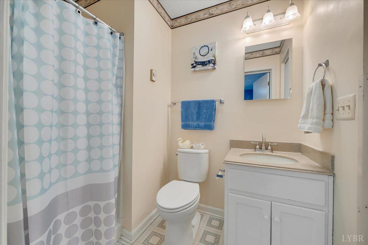 1124 Homeplace Road Bedford, VA 24523 - Photo 21 of 47 a bathroom with a sink toilet and shower