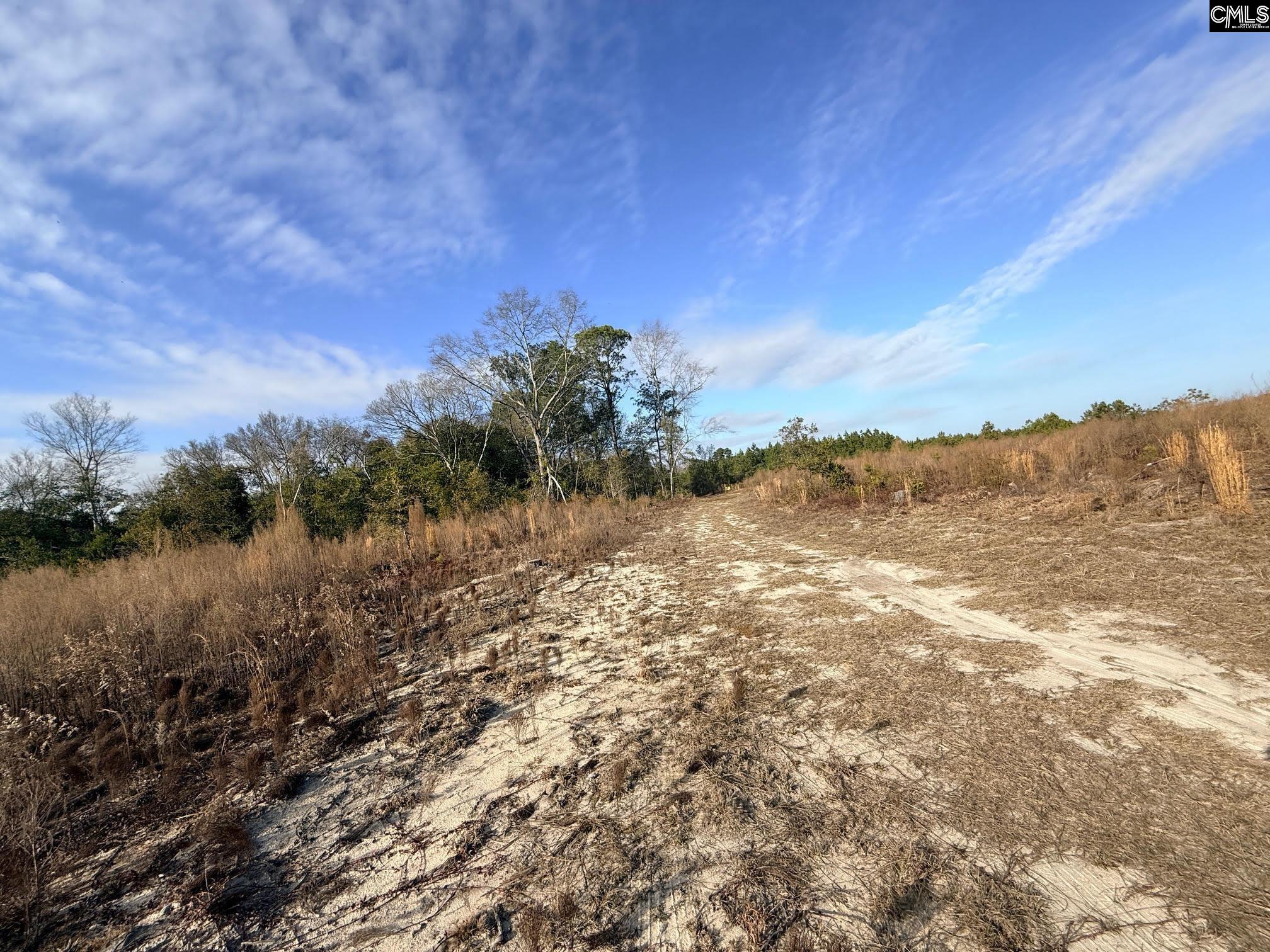 0 Festival Trail Road Salley, SC 29137 - Photo 2 of 8