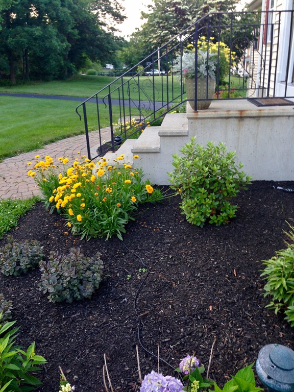 99 Freeman Road Charlton, MA 01507 - Photo 28 of 29 a view of a garden with plants and trees