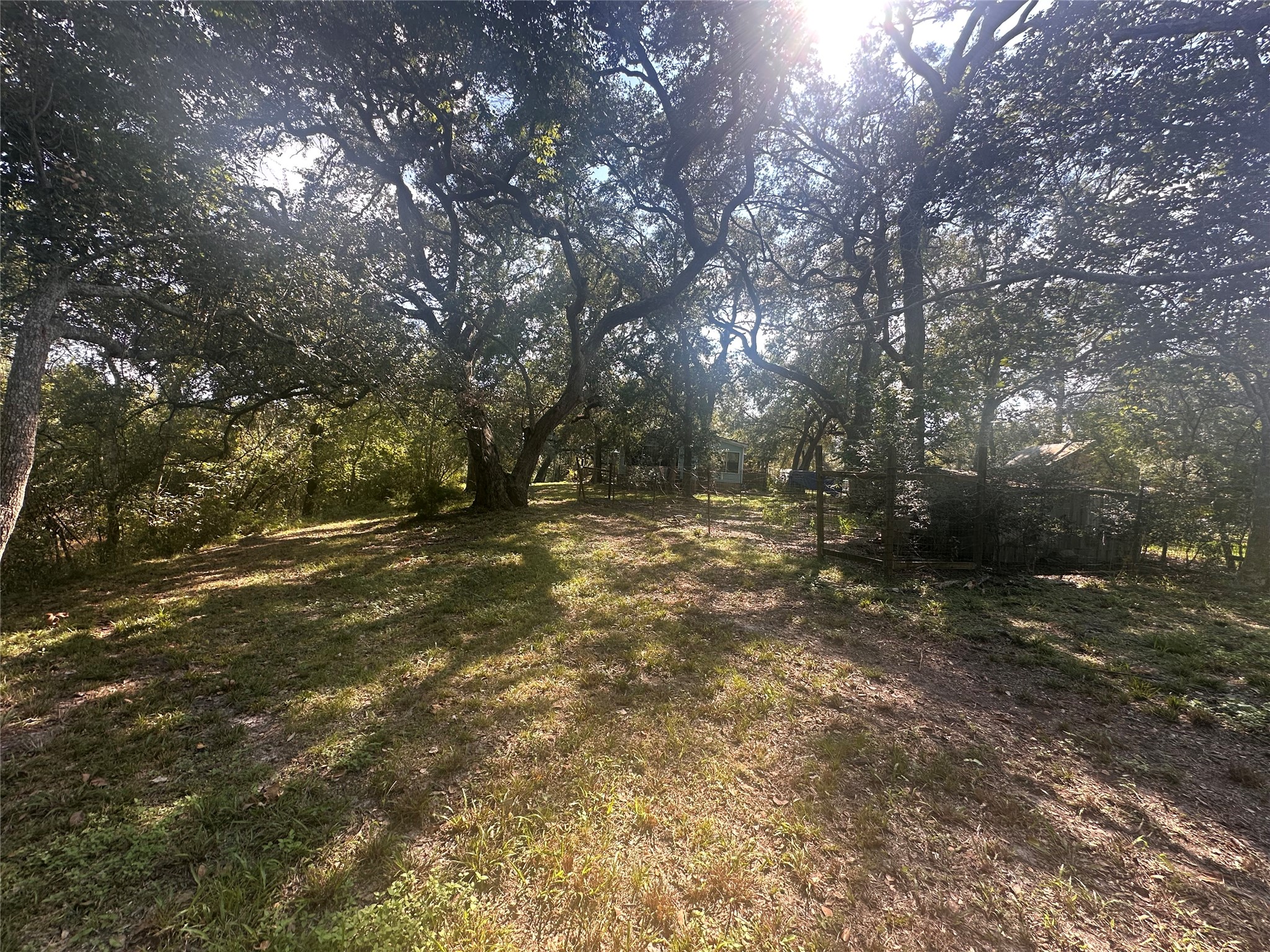 612 Byrd Salyer Road Bay City, TX 77414 - Photo 12 of 32 a view of outdoor space with trees