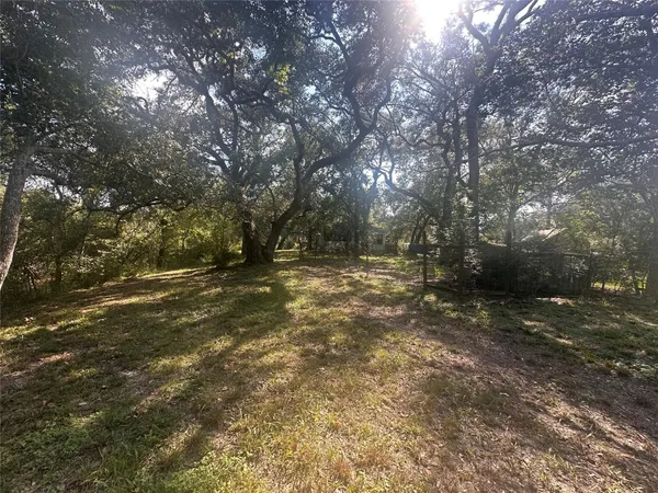 a view of a yard with a tree