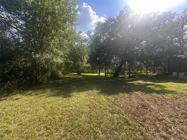 a view of road and trees