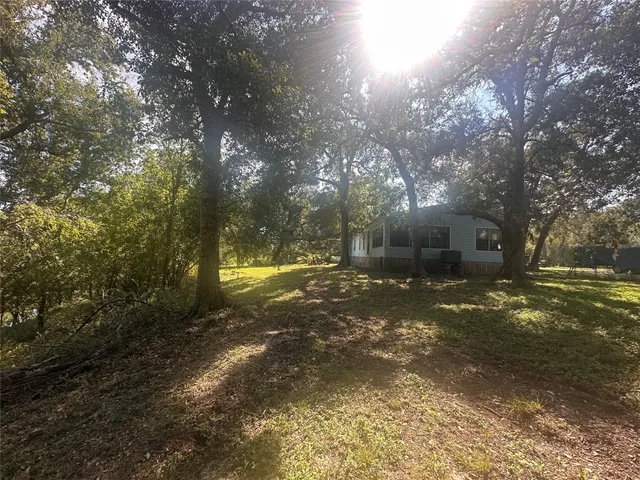 a view of a trees with yard
