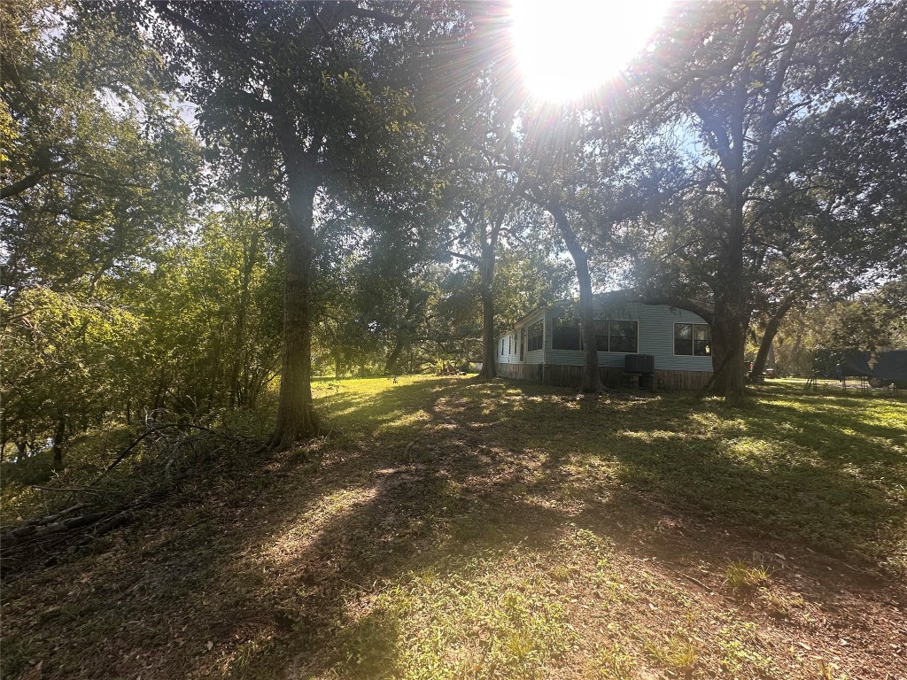612 Byrd Salyer Road Bay City, TX 77414 - Photo 16 of 26 a view of road and trees