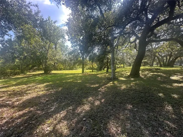a view of a field with trees in the background