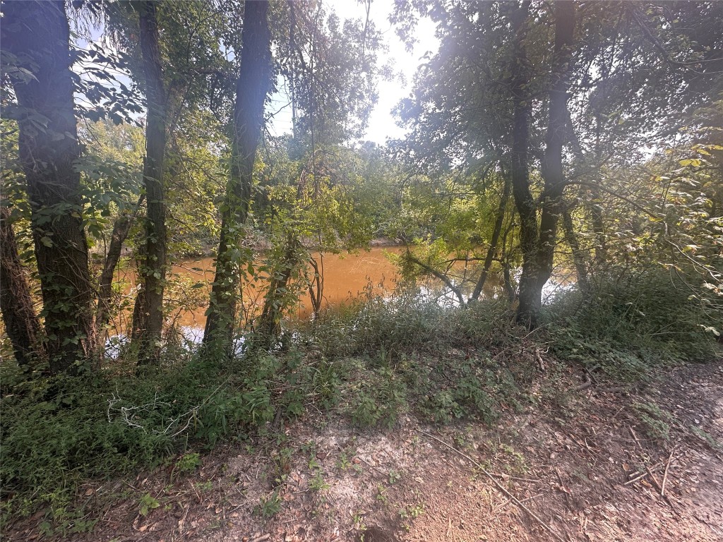 612 Byrd Salyer Road Bay City, TX 77414 - Photo 18 of 26 a view of a forest