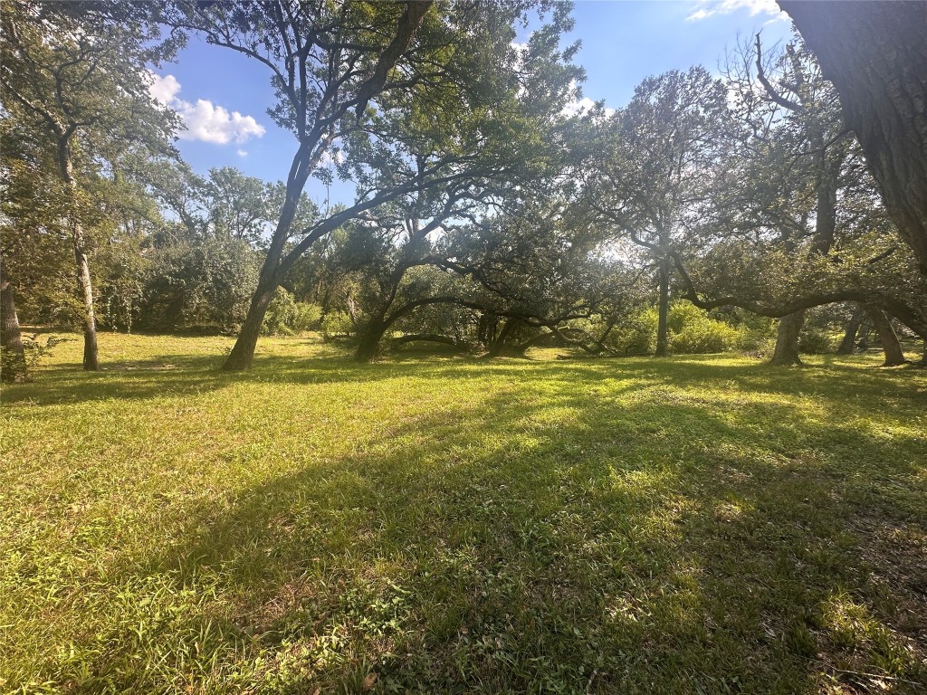 612 Byrd Salyer Road Bay City, TX 77414 - Photo 22 of 26 a view of yard with swimming pool and trees