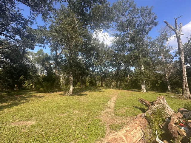 a view of outdoor space with trees all around