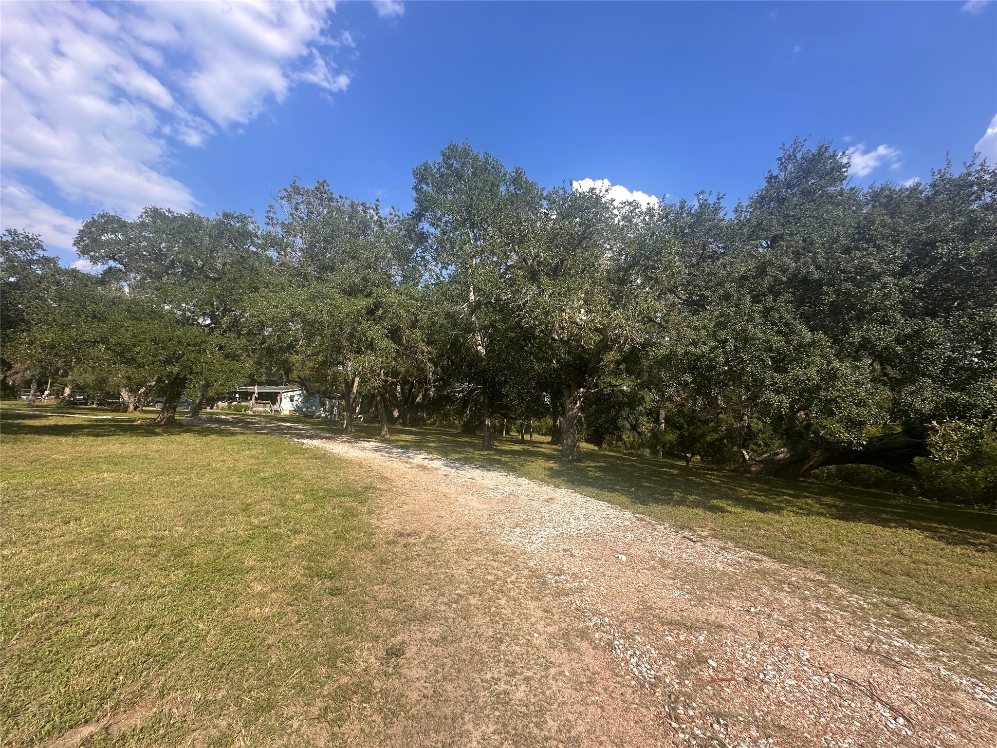 612 Byrd Salyer Road Bay City, TX 77414 - Photo 25 of 32 a view of outdoor space with trees all around