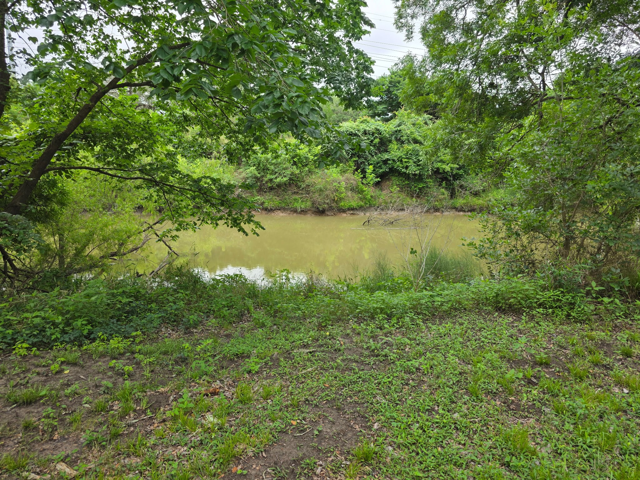 612 Byrd Salyer Road Bay City, TX 77414 - Photo 30 of 32 a view of a lake with a yard