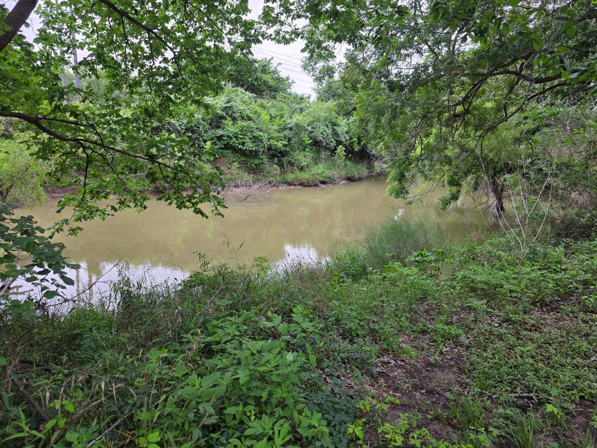 612 Byrd Salyer Road Bay City, TX 77414 - Photo 31 of 32 a view of lake with green space