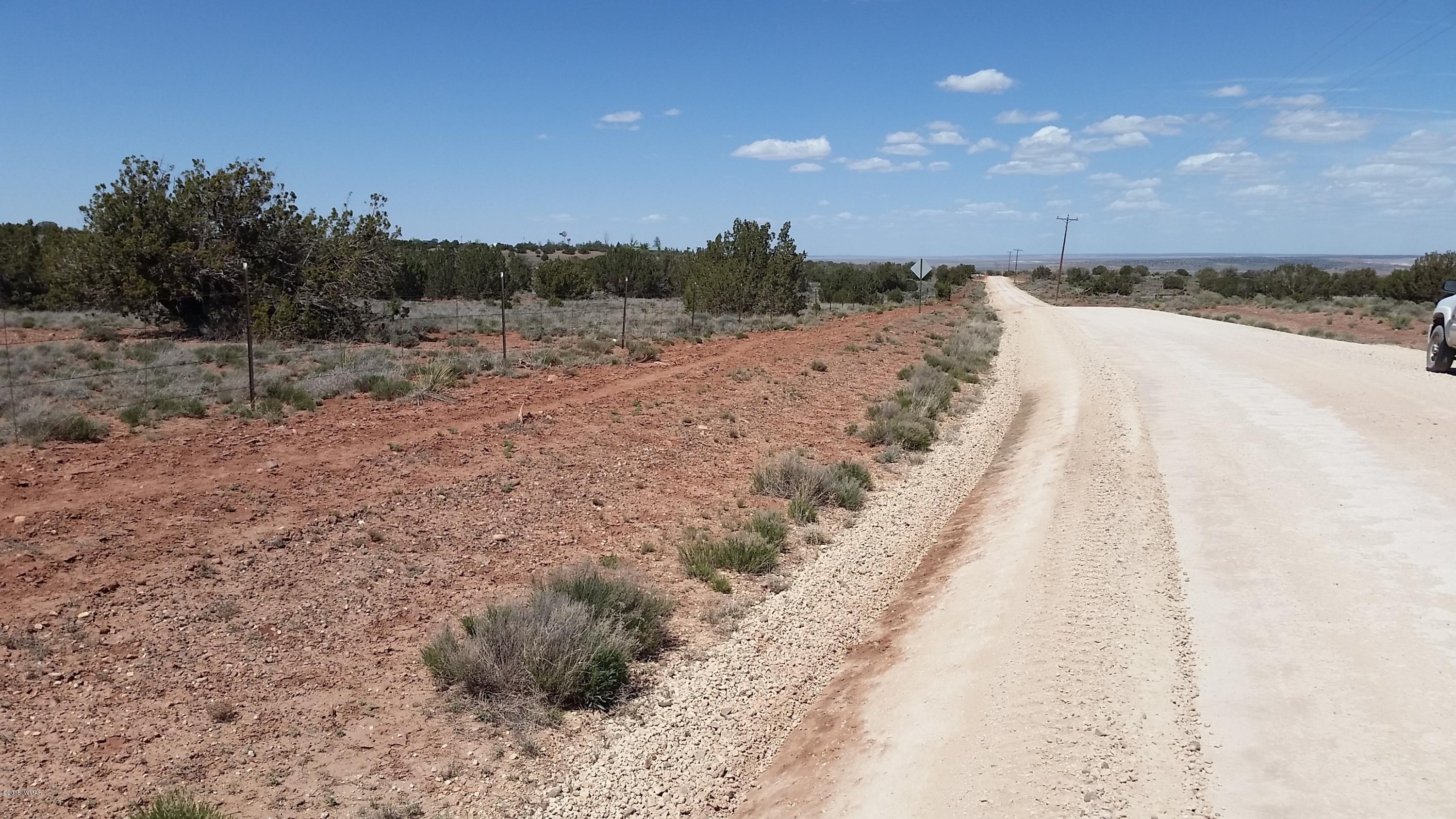 346 Old Hunt Road Concho, AZ 85924 - Photo 2 of 7