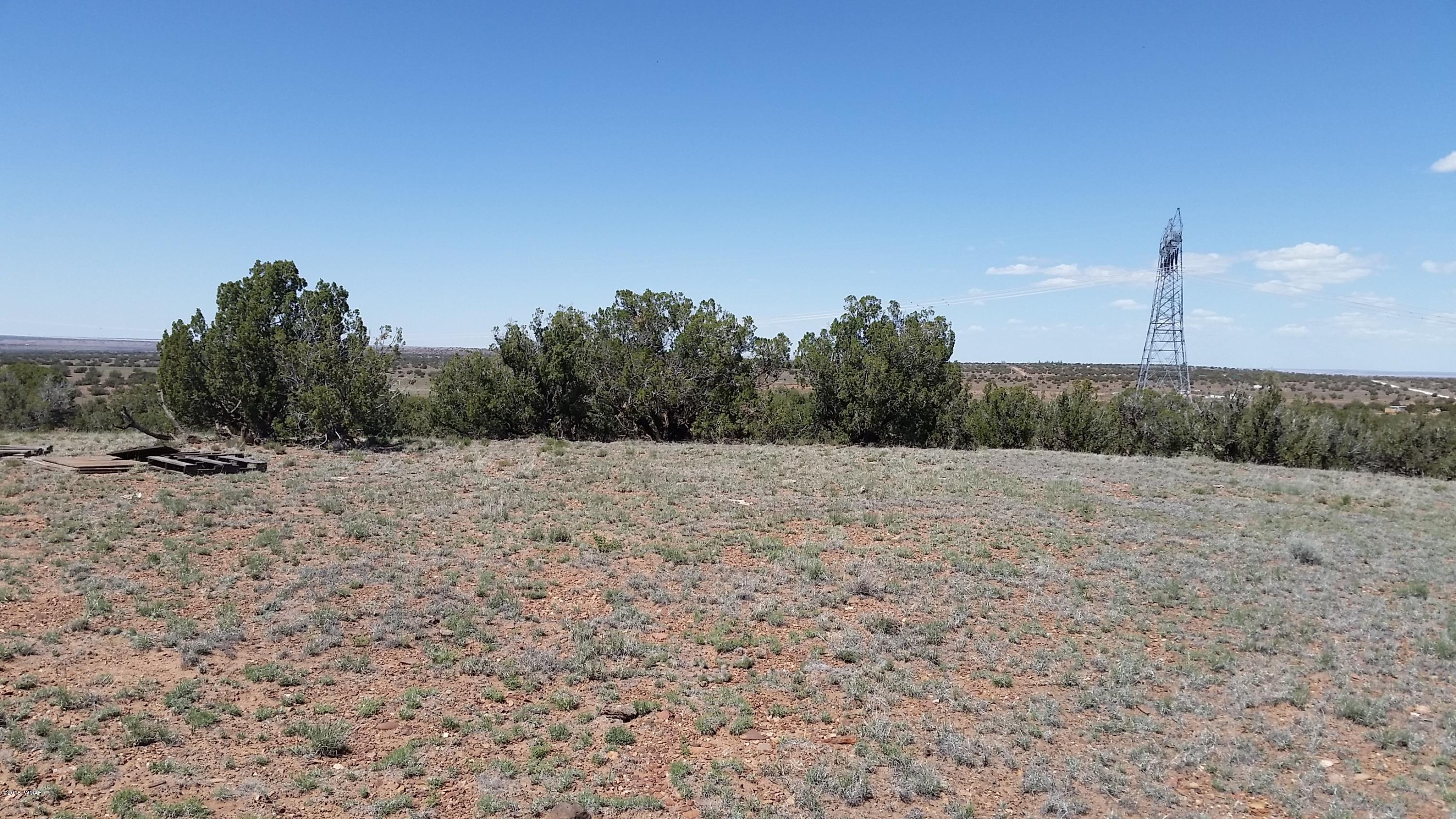 346 Old Hunt Road Concho, AZ 85924 - Photo 3 of 7