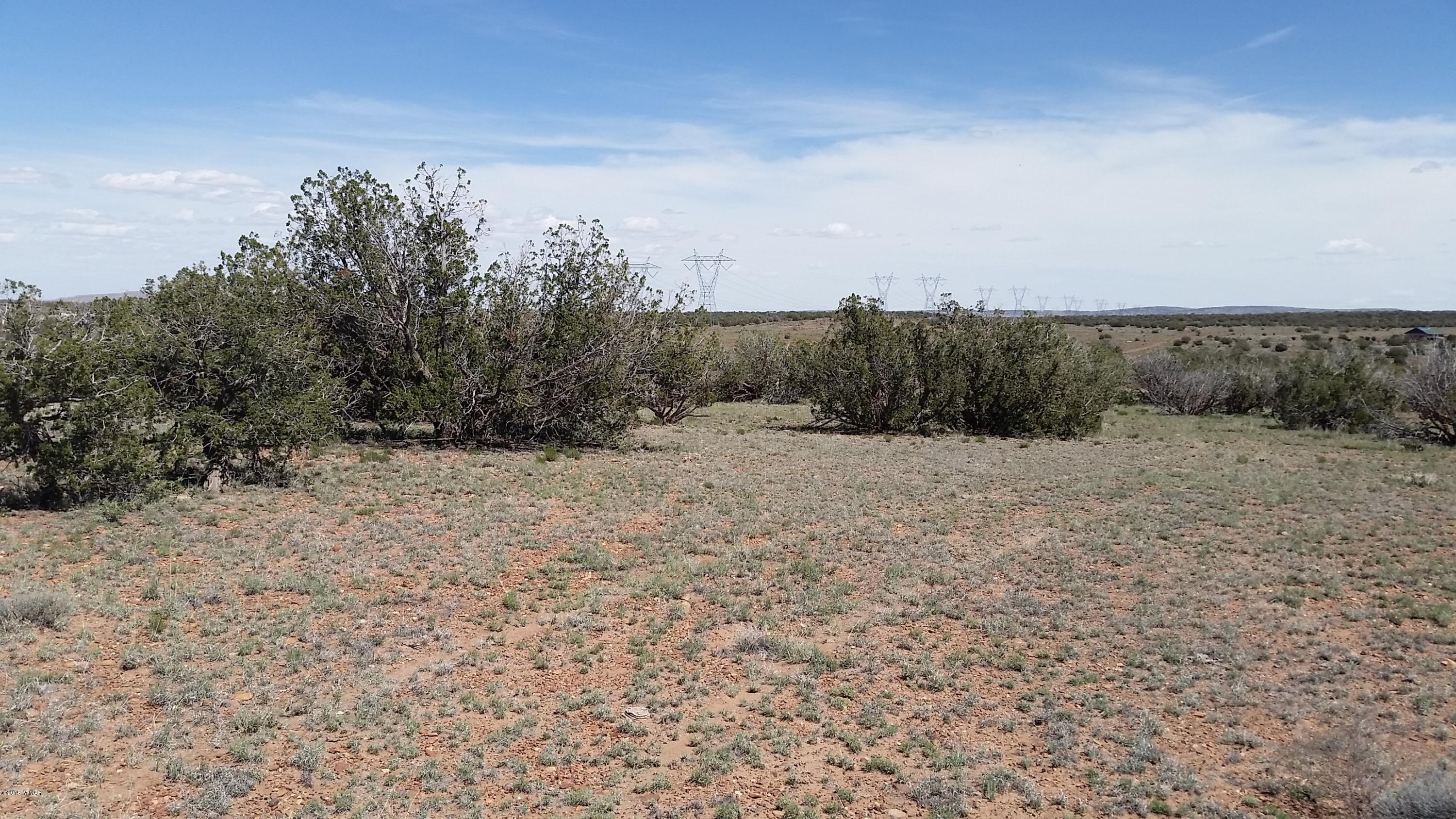 346 Old Hunt Road Concho, AZ 85924 - Photo 4 of 7
